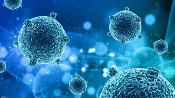 Virus y bacterias durante una ola de frío.