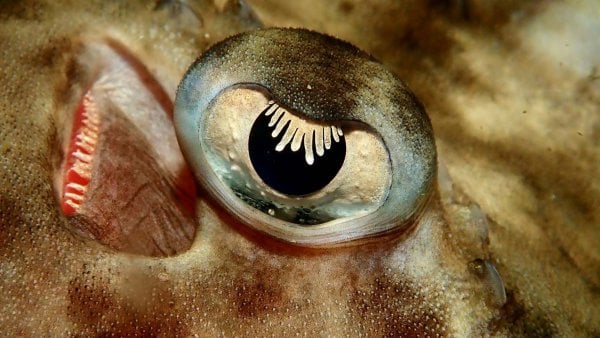 Participantes del concurso 