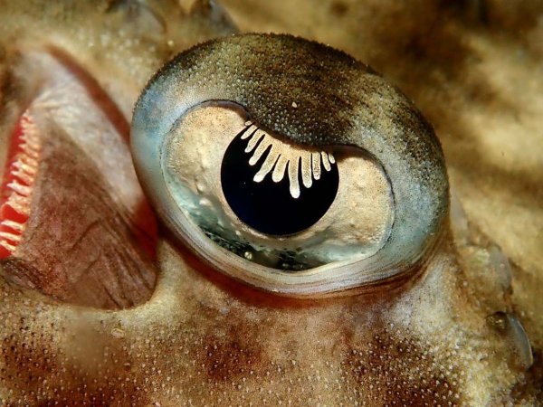 Participantes del concurso