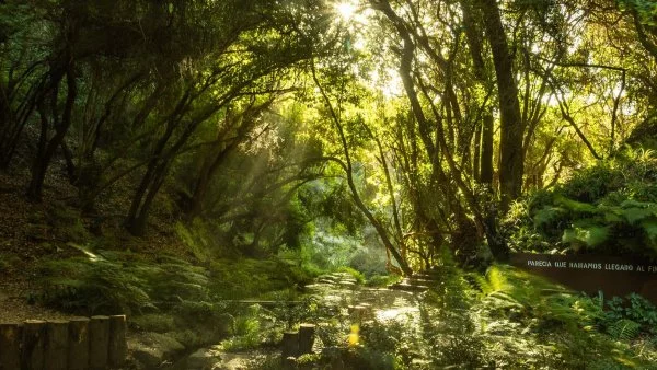 Vista panorámica del Parque Tricao con sus senderos y áreas verdes, premiado por Tripadvisor en 2024.