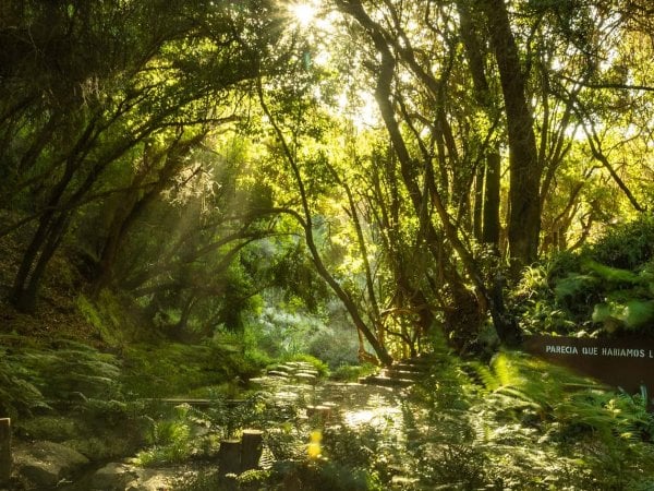 Vista panorámica del Parque Tricao con sus senderos y áreas verdes, premiado por Tripadvisor en 2024.