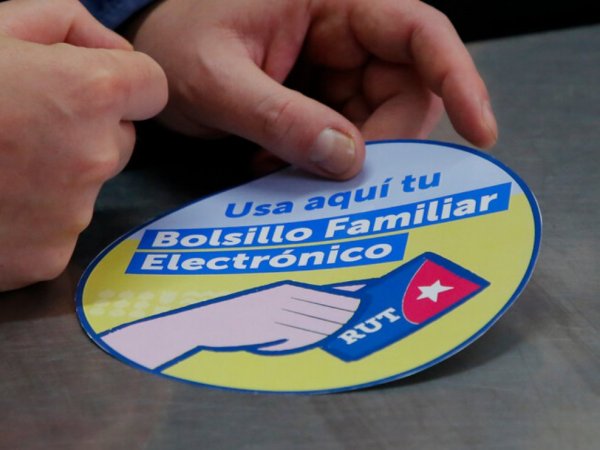 Bolsillo Familiar Electrónico 2024.