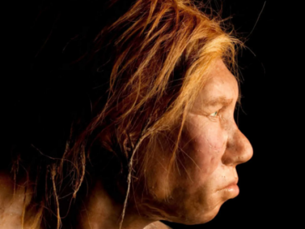Neanderthal