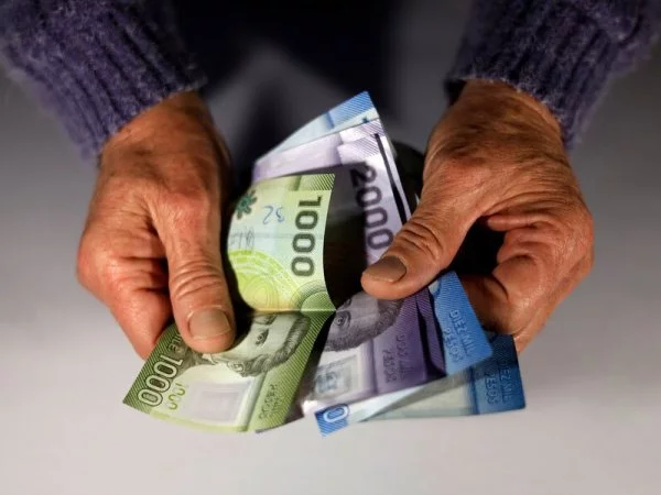 Dinero. Bolsillo Familiar Electrónico.