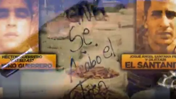 Informe Especial | El combate contra las casas del terror