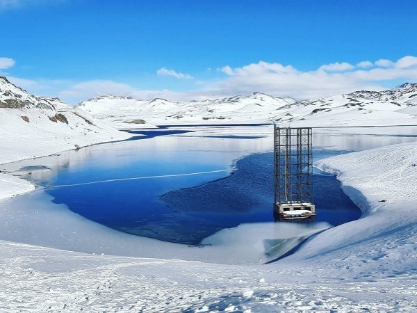 Los sonidos fueron registrados por la ONG 