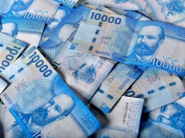 Bolsillo Familiar Electrónico 2024. Billetes.