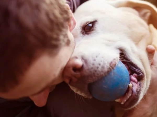 La investigación conducida por miembros de la Universidad de Bristol buscó estudiar los efectos del estrés humano en el comportamiento canino