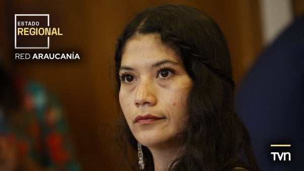 Diputada Ericka Ñanco