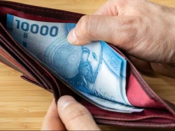 Bolsillo Electrónico Familiar