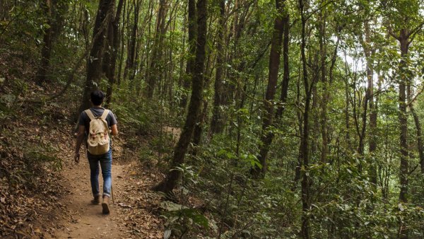 Naturaleza para tu salud