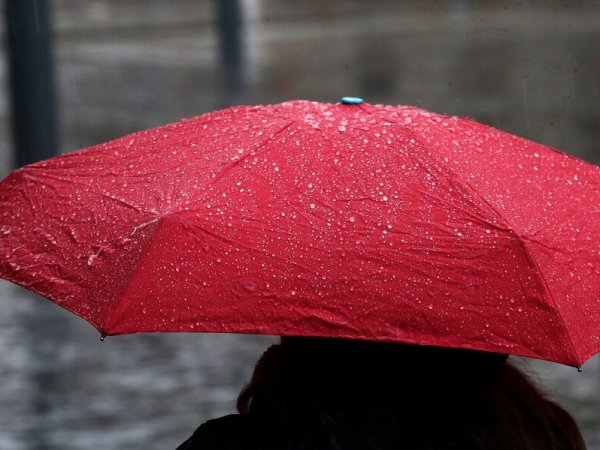 Pronóstico para el fin de semana