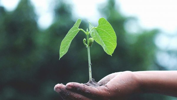 Encuesta revela que el 50% de los chilenos desconoce el concepto de sostenibilidad. Chile, 2024.