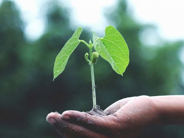 Encuesta revela que el 50% de los chilenos desconoce el concepto de sostenibilidad. Chile, 2024.