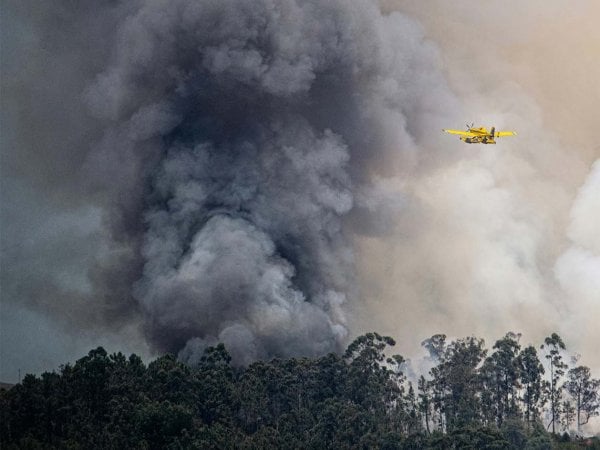 Sistema avanzado de detección de incendios en la Reserva Nacional Lago Peñuelas, Chile.
