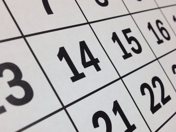 Calendario. Feriados Chile 2024. Feriados agosto