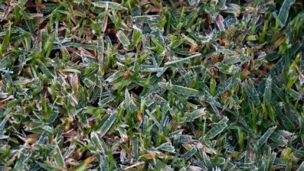 Bajas temperaturas en zona centro sur
