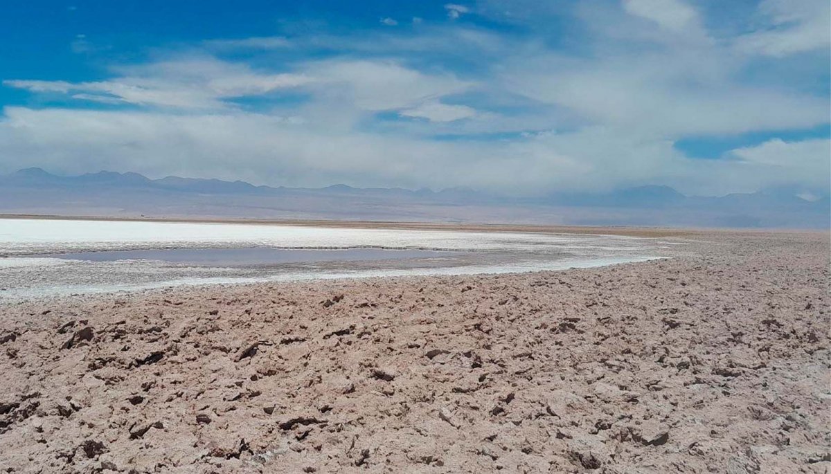 Salar de Atacama se hunde 2 cm al año por extracción de salmuera | 24horas