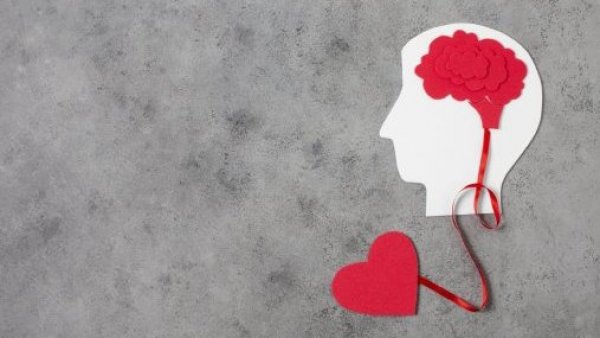 Estudio amor en el cerebro