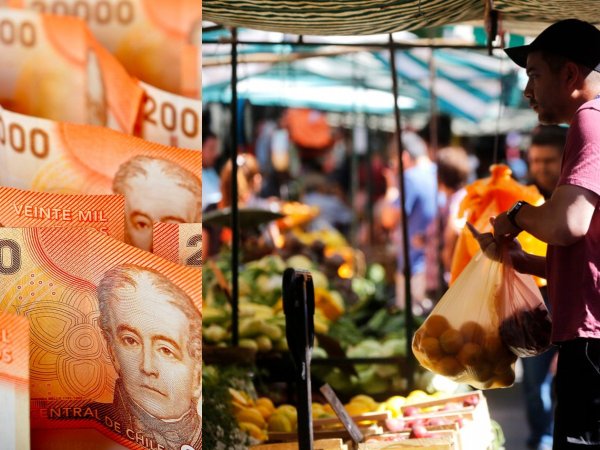 Billetes. Compra de comida. Bolsillo Familiar Electrónico.