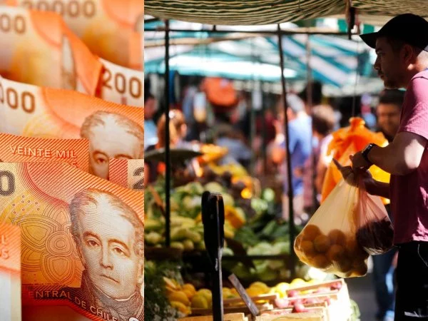 Billetes. Compra de comida. Bolsillo Familiar Electrónico.