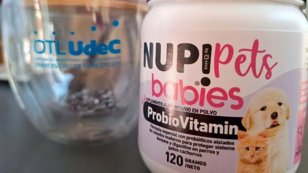 Pet Babies, el primer probiótico chileno para perros y gatos.