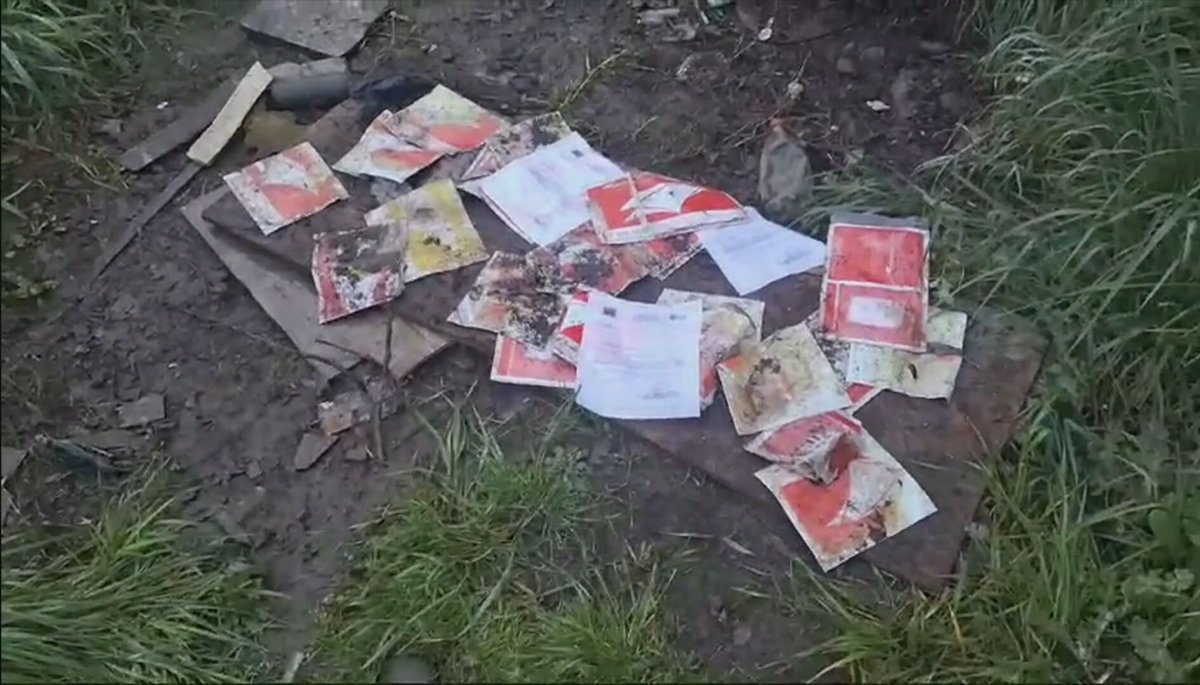 "Se seguirá investigando": Seremi de Salud habla sobre nuevo hallazgo de cartas certificadas en Talca | 24horas
