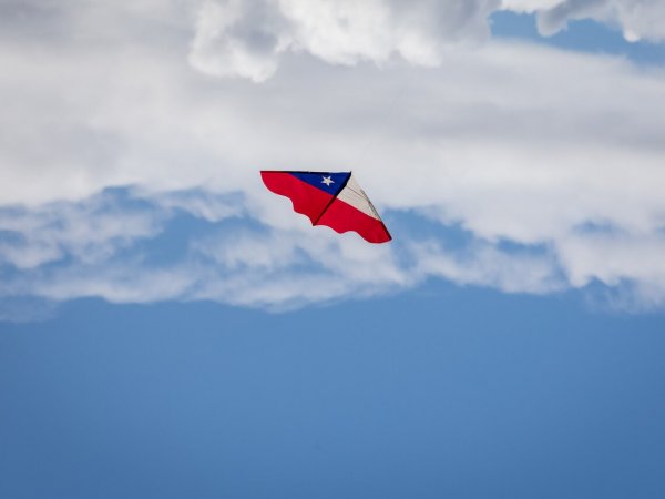 Volantín. Hilo curado.