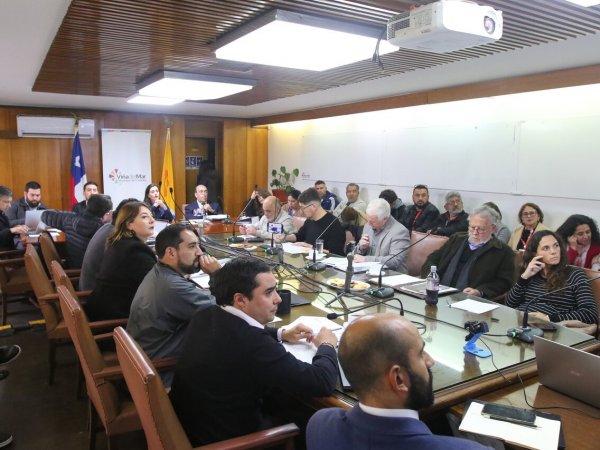 Concejo Municipal. Qué hace un concejal. Elecciones municipales