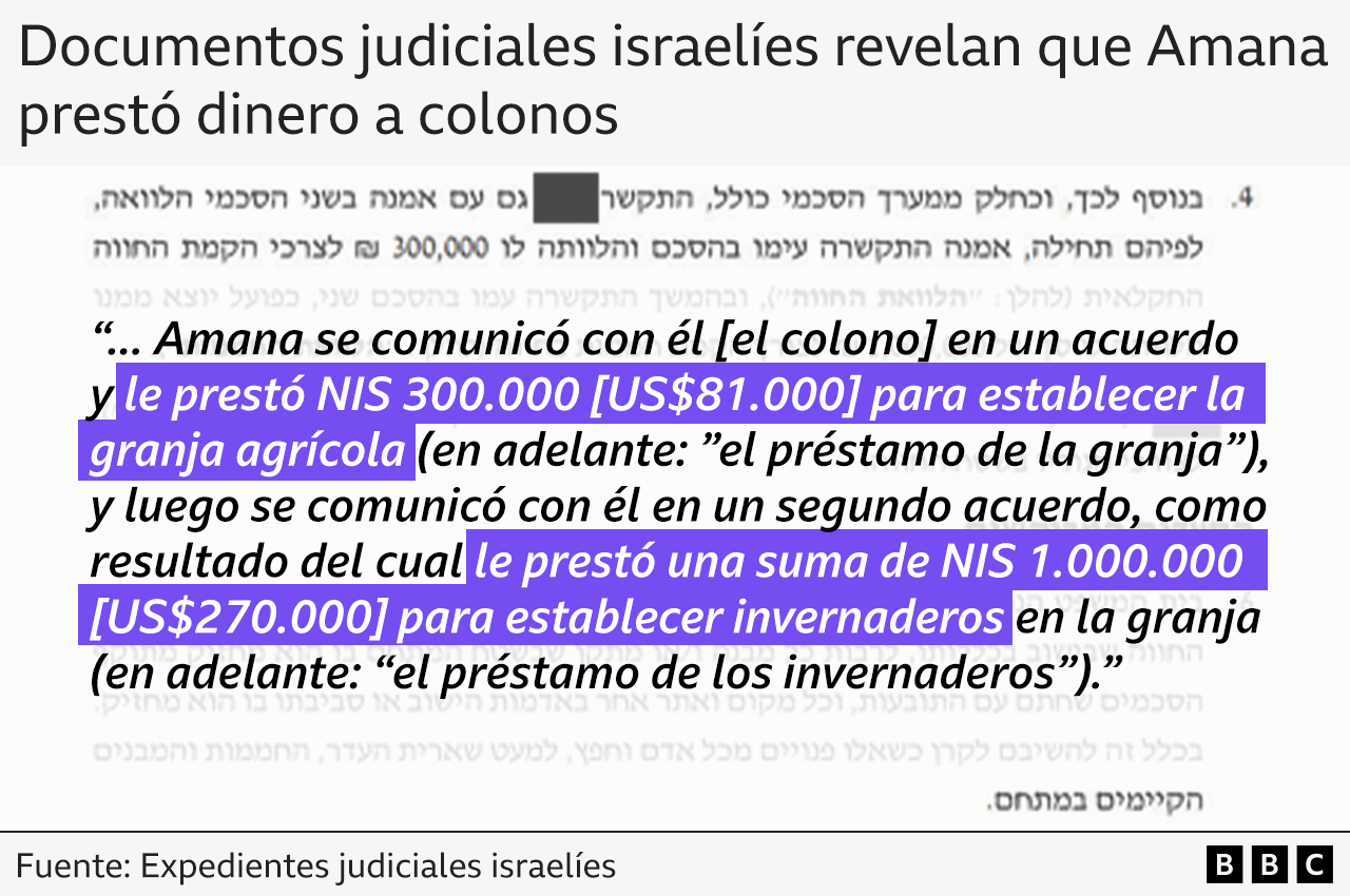 Texto