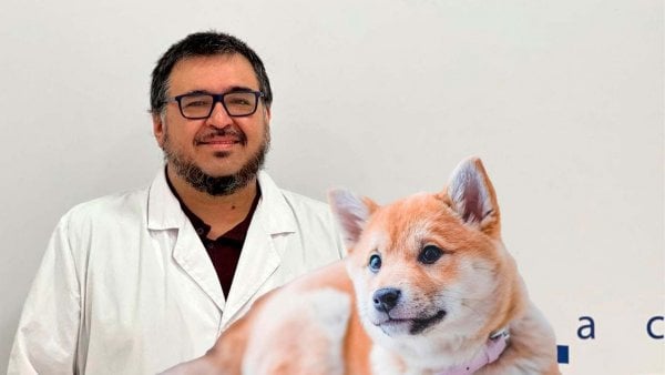 Investigadores de la Universidad de Chile detectan variante Ómicron en perros.
