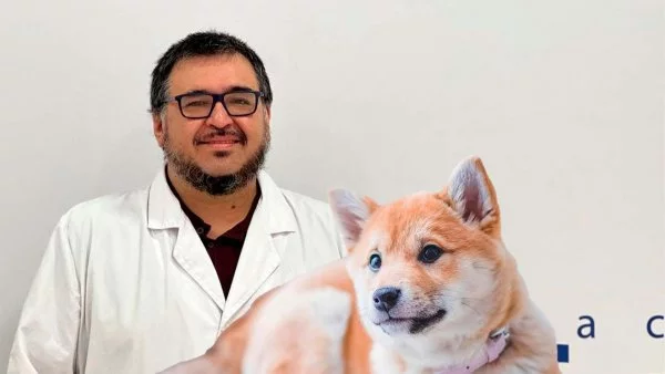 Investigadores de la Universidad de Chile detectan variante Ómicron en perros.