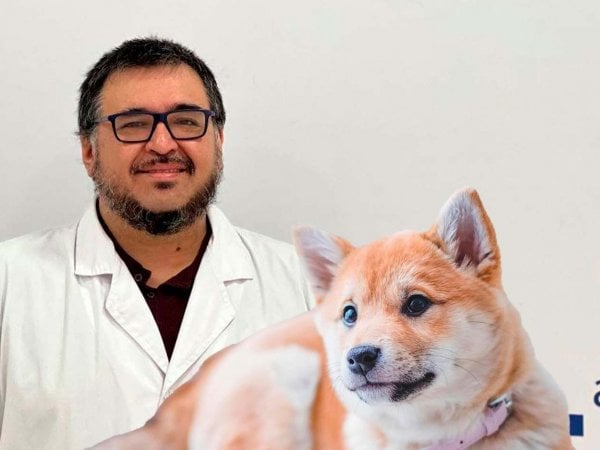 Investigadores de la Universidad de Chile detectan variante Ómicron en perros.