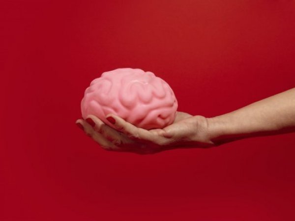Cerebro