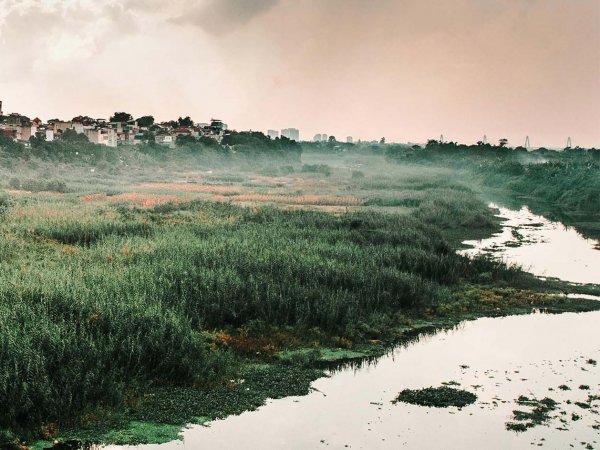 Turbera en la zona sur de Chile: Ecosistema crucial para almacenar carbono.