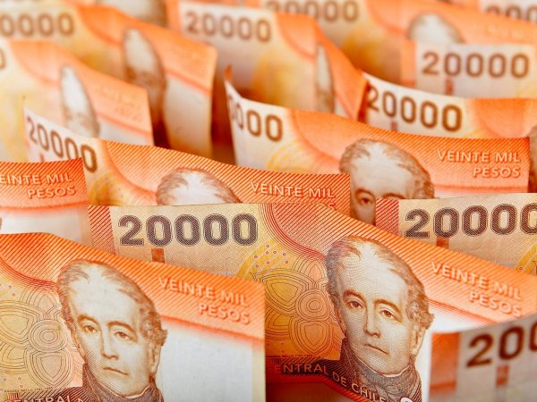 Bono Logro Escolar 2024. Consultar con RUT.