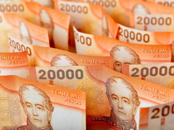 Bono Logro Escolar 2024. Consultar con RUT.