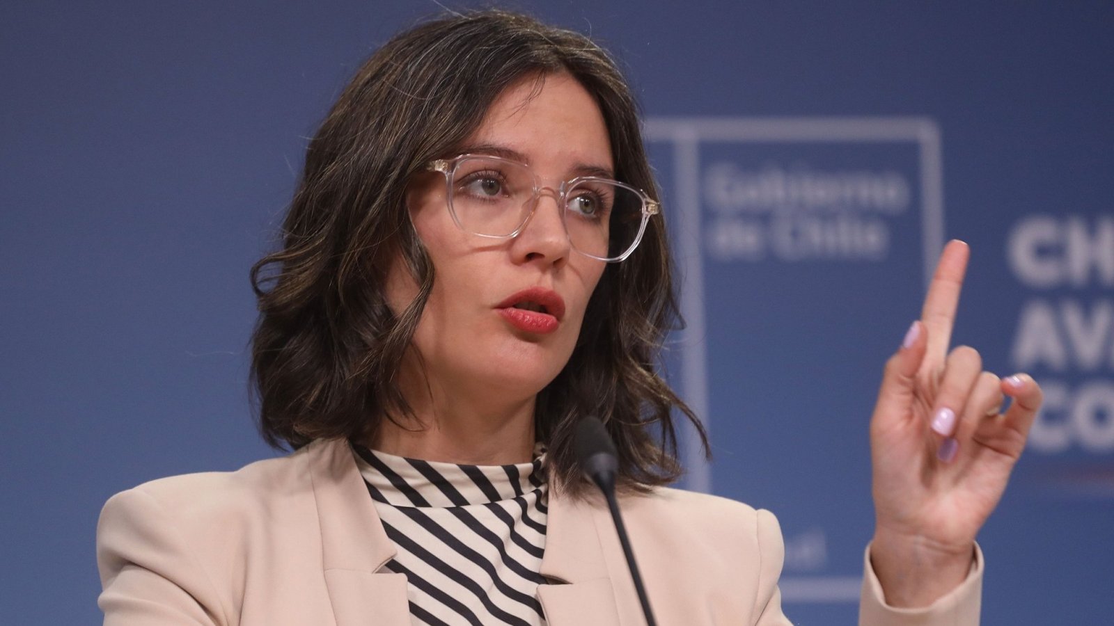 Camila Vallejo refiriéndose al CAE