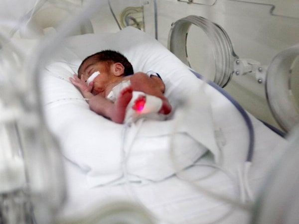 Estadísticas vitales: bajan los nacimientos y aumentan los AUC en julio