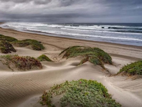 Dunas de Ritoque, Valparaíso, Chile, 2024.