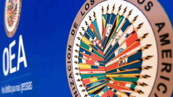 Grupo de estudiantes estudiando en biblioteca