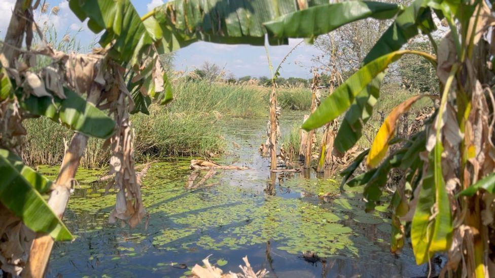 El Lago Malawi