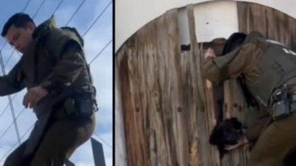 Rescate de Goliat en Coquimbo