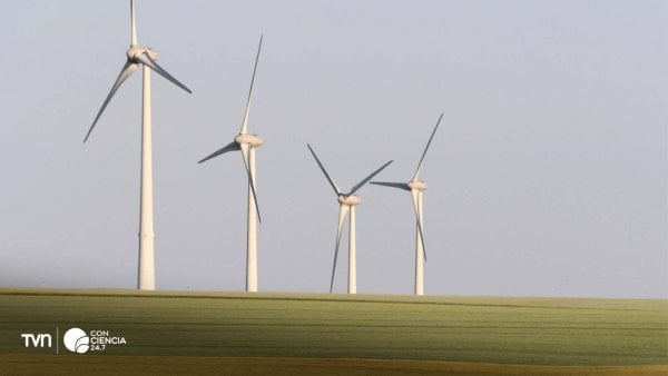 Diferencias entre sustentabilidad y sostenibilidad: conceptos clave.