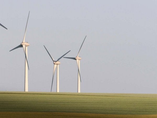 Diferencias entre sustentabilidad y sostenibilidad: conceptos clave.