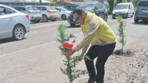 Hombre plantando arboles en hoyo