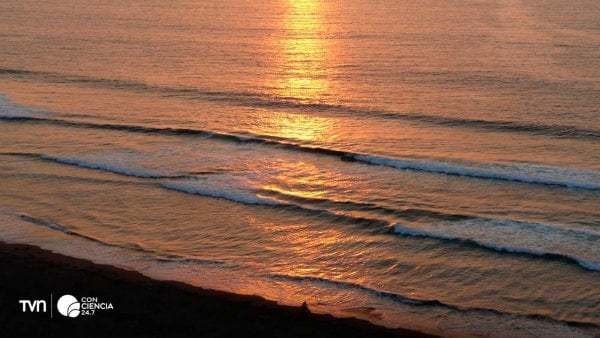 Investigadores de la PUCV instalan arrecifes artificiales en Maitencillo para controlar la erosión costera.