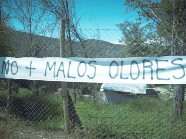 Avícola clandestina sigue comercializando huevos