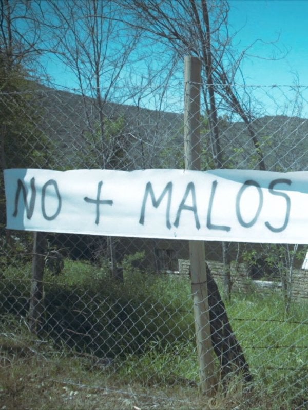 Avícola clandestina sigue comercializando huevos