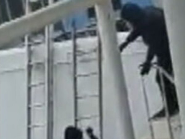 Detenidos por robo a Brinks